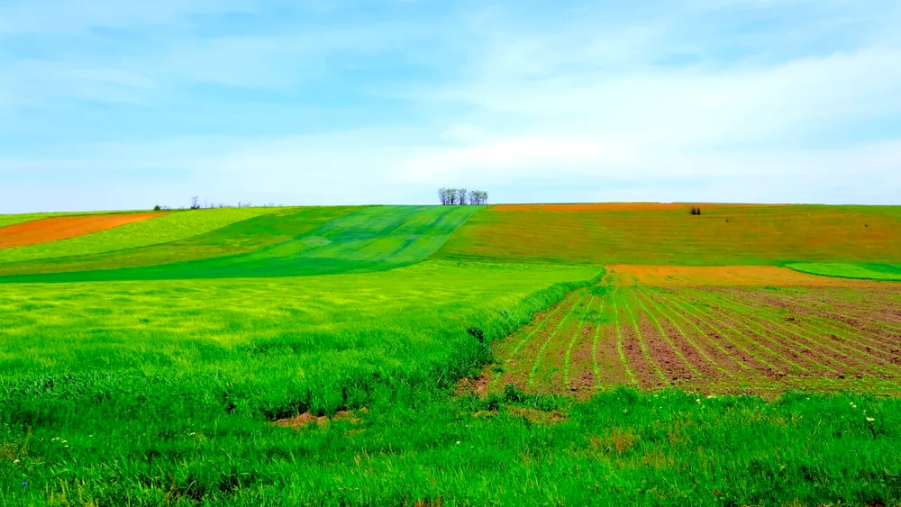 Cât plătești pentru un teren arabil în România și ce prețuri sunt practicate în alte state ale Uniunii Europene, potrivit INS