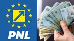 PNL, apel la partide să deblocheze Legea Salarizării: „Fără calcule politice de moment. România nu își permite să piardă bani”