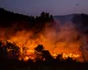 Un român a murit în INCENDIILE de vegetație din Spania. Unde se afla când a fost cuprins de flăcări