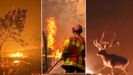 Incendiile devastatoare din Franța și Spania forțează evacuarea a peste 300.000 de oameni. Mii de hectare sunt mistuite de flăcări