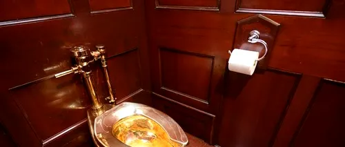Vasul de toaletă în valoare de un milion de lire sterline din Palatul Blenheim a fost furat. Ce îl face atât de valoros
