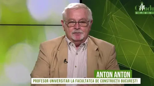 Prof. univ. Anton Anton, la Gândul Green, despre mașinile electrice: „Au un viitor extraordinar”