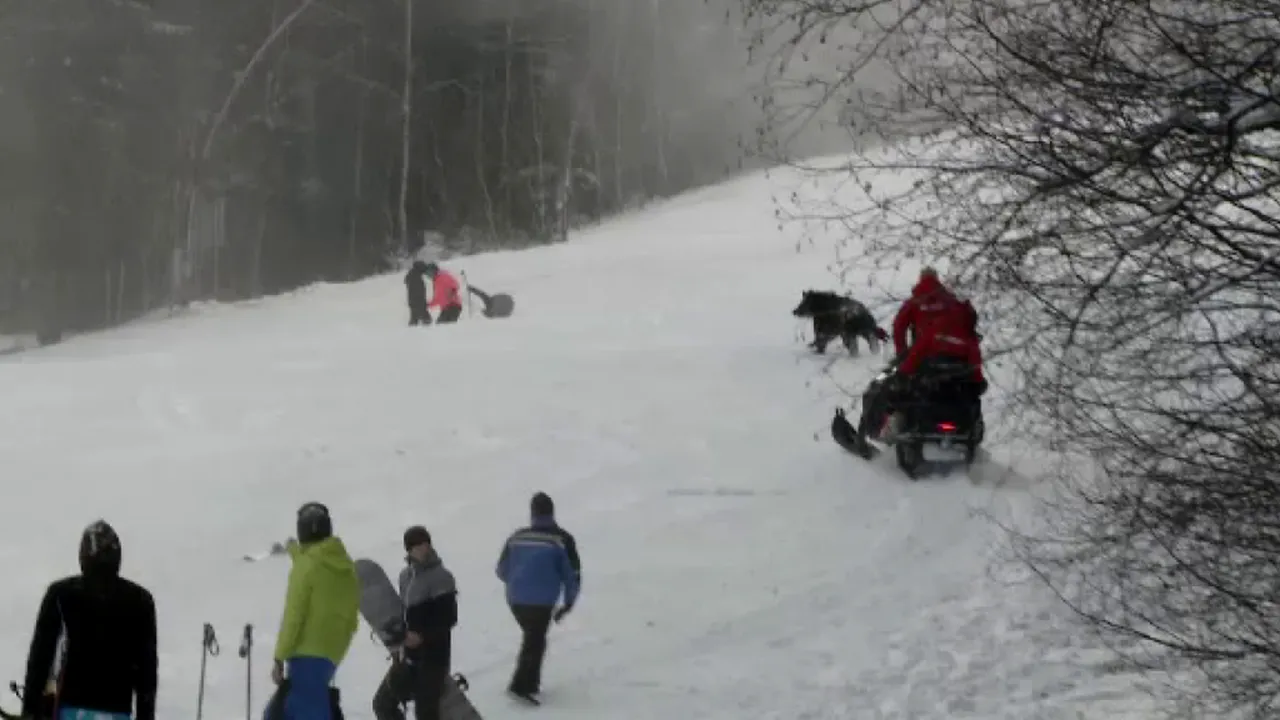 Schior fugărit de urs în Predeal, pe Clăbucet! (VIDEO)