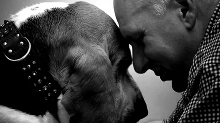 Motivul științific pentru care CÂINELE este considerat cel mai bun prieten al OMULUI
