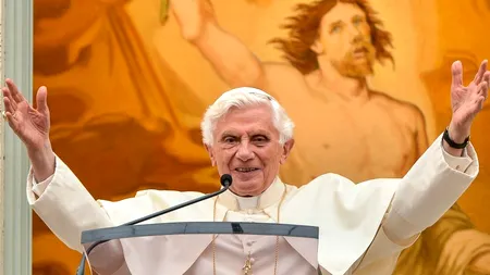 MAE: Papa Benedict vine 