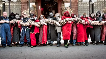 Medusa, CEL MAI MARE ȘARPE care trăiește în captivitate. Ce lungime are reptila intrată în Guinness Book