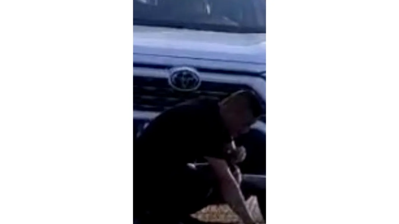 VIDEO | Metoda inedită prin care doi șoferi români i-au oprit pe cei care încercau să depășească coloana, în Vama Giurgiu