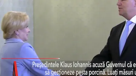Iohannis: Executivul Dăncilă NU este capabil să facă față crizei pestei porcine