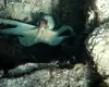 Grecia, principalul furnizor de pește al României. Ce fel de caracatițe, calamari sau fructe de mare ajung pe raft