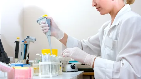STUDIU. Un insecticid folosit în trecut la combaterea gândacilor de Colorado favorizează apariția cancerului la sân