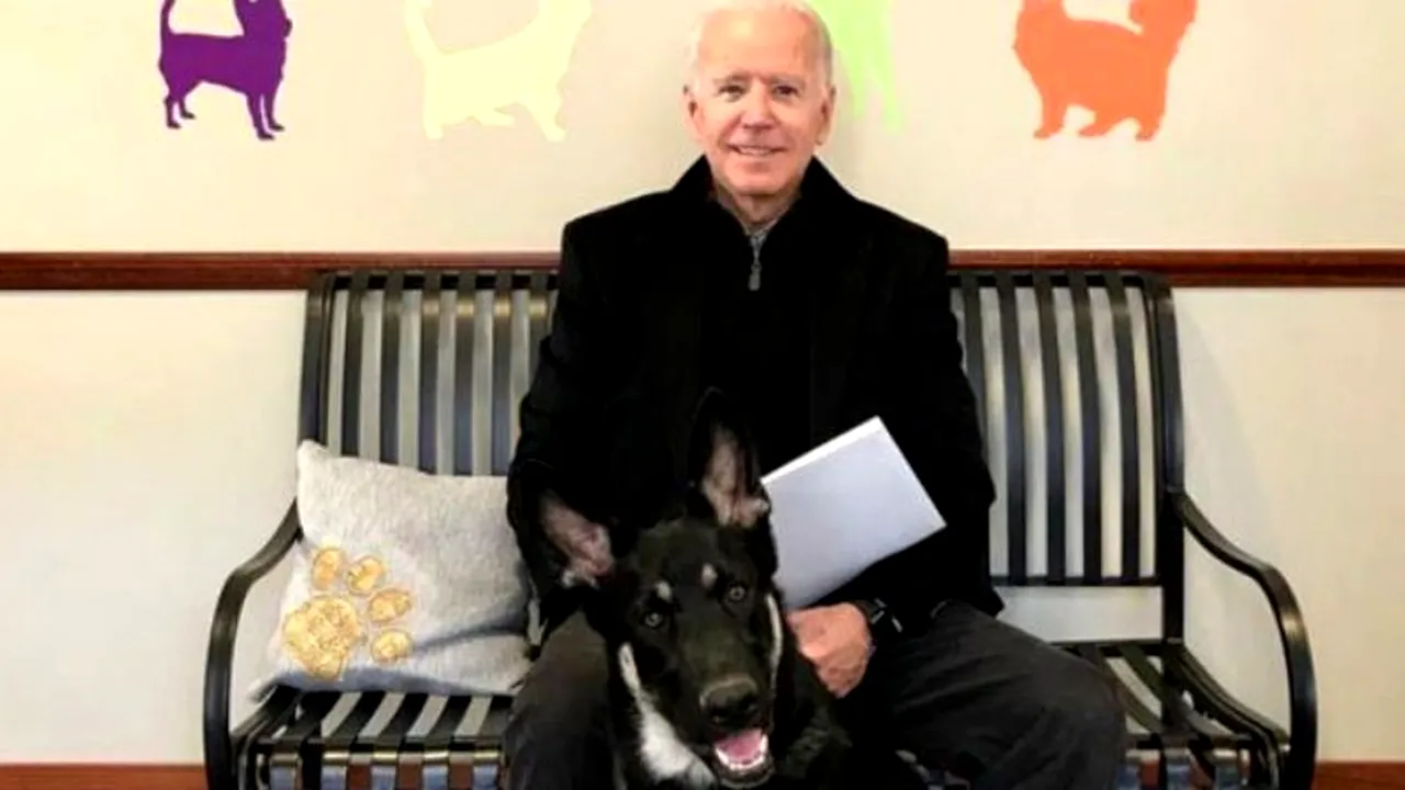 Câinii lui Joe Biden, președintele SUA, interziși la Casa Albă. Cum s-a ajuns la această situație