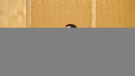 PNL atacă la CCR hotărârea de constituire a Comisiei speciale pentru legile justiției