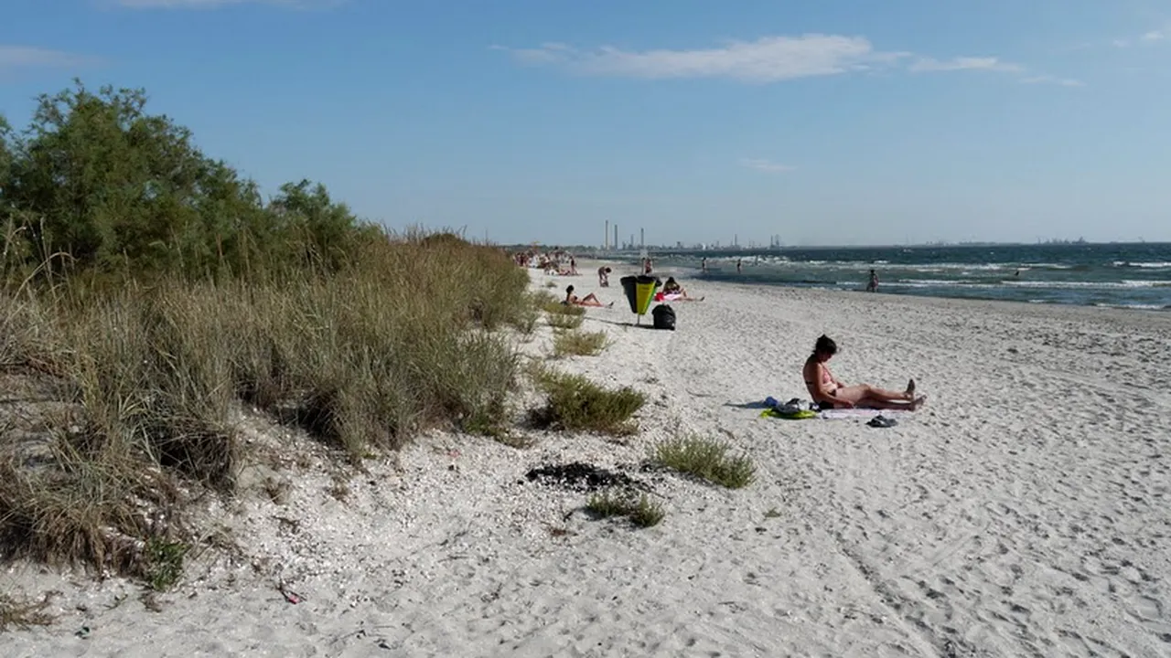 Însărcinatul cu afaceri al Ambasadei SUA și 100 de voluntari americani curăță plaja din Năvodari