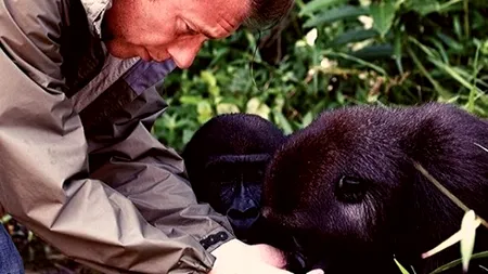 Un îngrijitor de la grădina zoologică, îndemn neașteptat: Părinții nu ar trebui să își aducă micuții în vizită să vadă animale ținute în captivitate / Care este motivul invocat