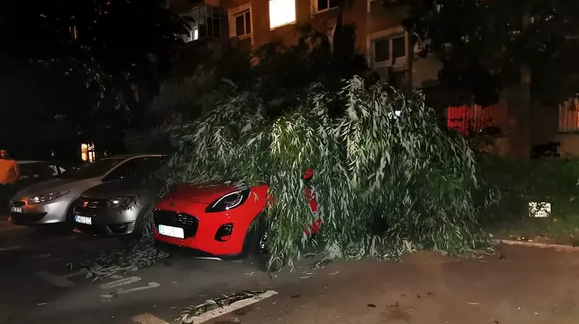 UPDATE. Copaci smulși de vânt, antenă căzută pe două case, două femei rănite. Imaginile ravagiilor făcute de furtuna din București