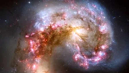 Fenomenul extraordinar descoperit de o cercetătoare australiană, în timpul unui test de rutină