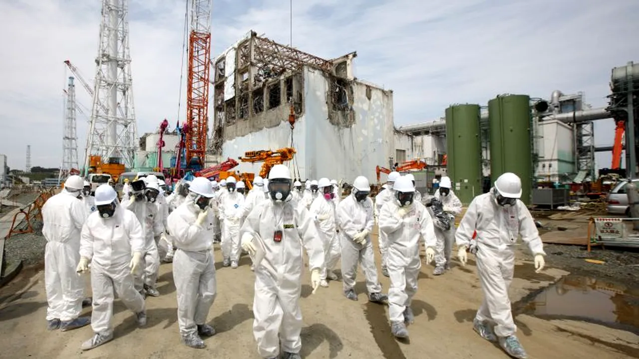 Primele organisme mutante după radiațiile de la Fukushima: 