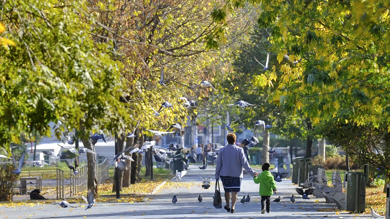Statele Unite se mută în România | Parcul Băneasa din Capitală se va numi Parcul Jersey City / Proiectul, unul de cooperare
