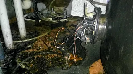 Zeci de persoane au fost evacuate după ce a izbucnit un incendiu în stațiunea Venus