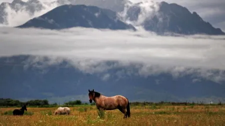Imaginile din Munții Piatra Craiului care îți taie răsuflarea. GALERIE FOTO