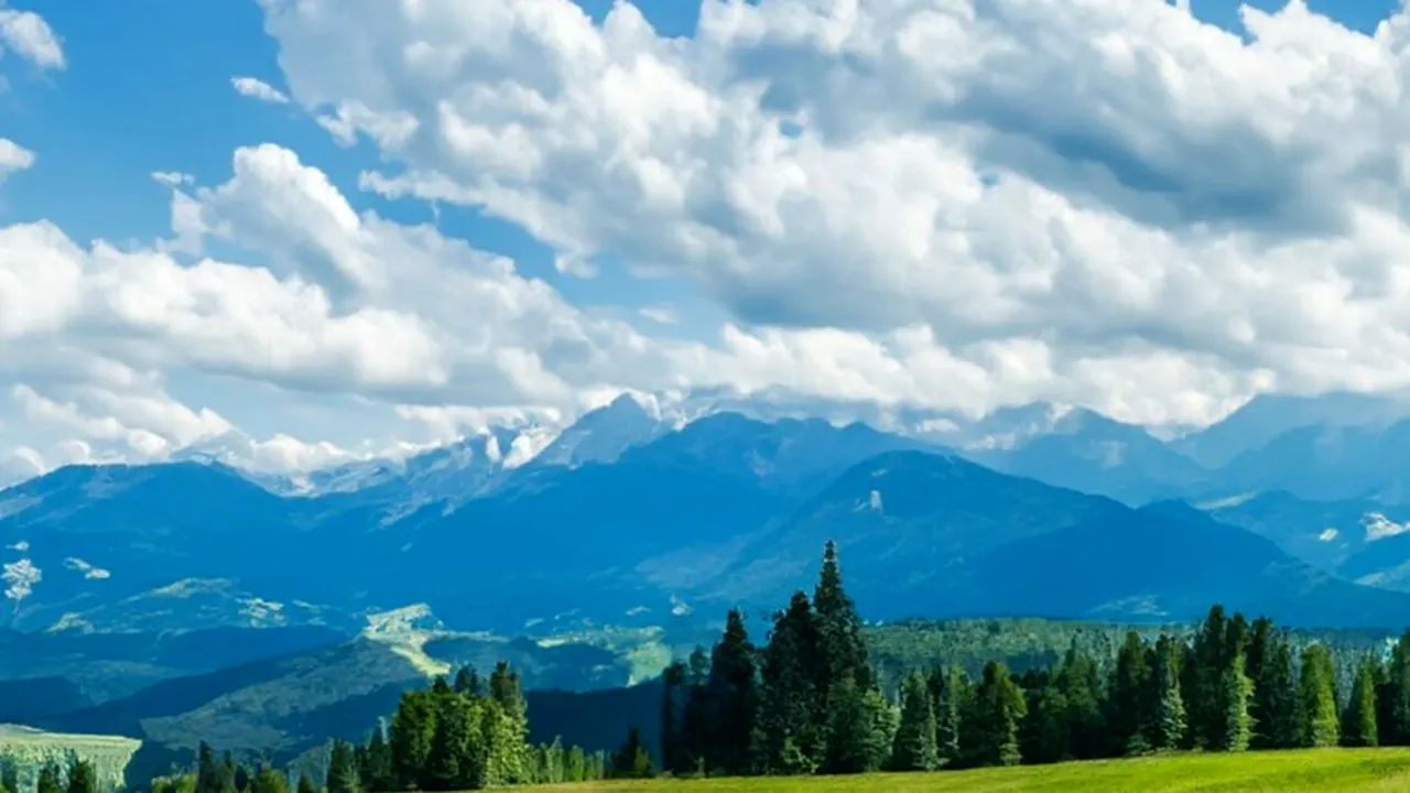 Comisia Europeană propune un sistem integrat de monitorizare a pădurilor din statele UE