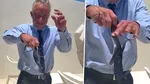 Imaginile zilei vin din SUA. Secretarul Sănătății, Robert Kenedy, a postat un video în care se luptă cu doi șerpi care au pătruns pe terasa casei