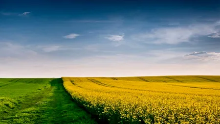 FINANȚARE: EximBank creditează cu 3,7 milioane euro agribusinessul Interagroaliment. Împrumutul este garantat de stat pe schema de ajutor Covid-19