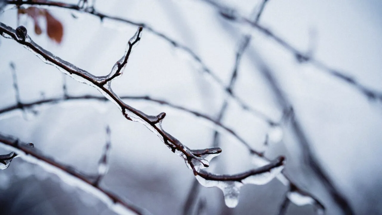 Fenomenul „freezing rain” în România, în ianuarie. În ce zone va ploua cu GHEAȚĂ în următoarea perioadă