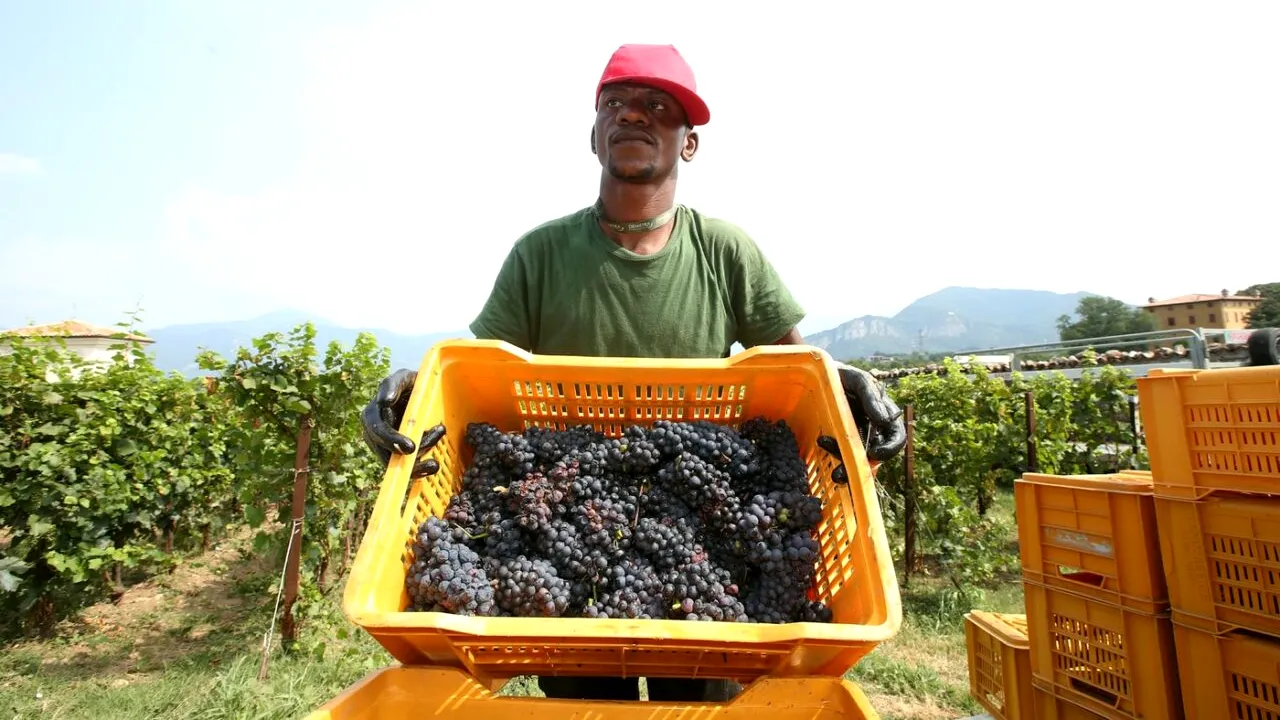 Italia caută să atragă 500.000 de noi ANGAJAȚI din afara Uniunii Europene între 2026 și 2028