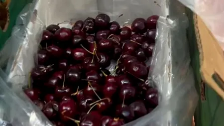 Ireal! Cât a ajuns să coste 1 kilogram de cireșe la Lidl, în decembrie 2024