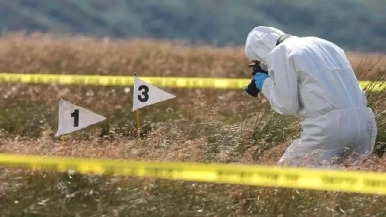 O tânără dispărută de acasă a fost găsită moartă pe un câmp. Ce a cauzat decesul femeii?