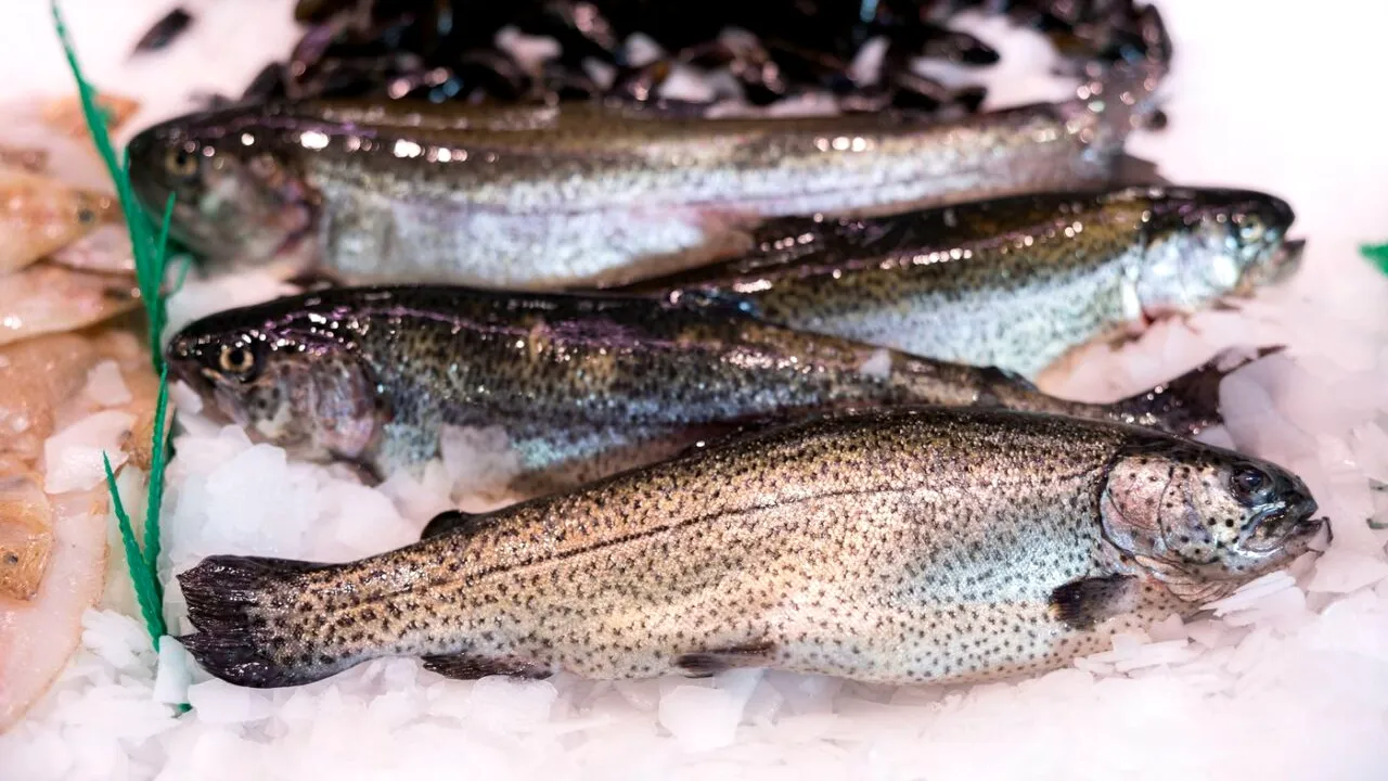 Greșeala pe care mulți români o fac atunci când DECONGELEAZĂ peștele. Care este cea mai sigură metodă și ce trebuie să faci când îl gătești