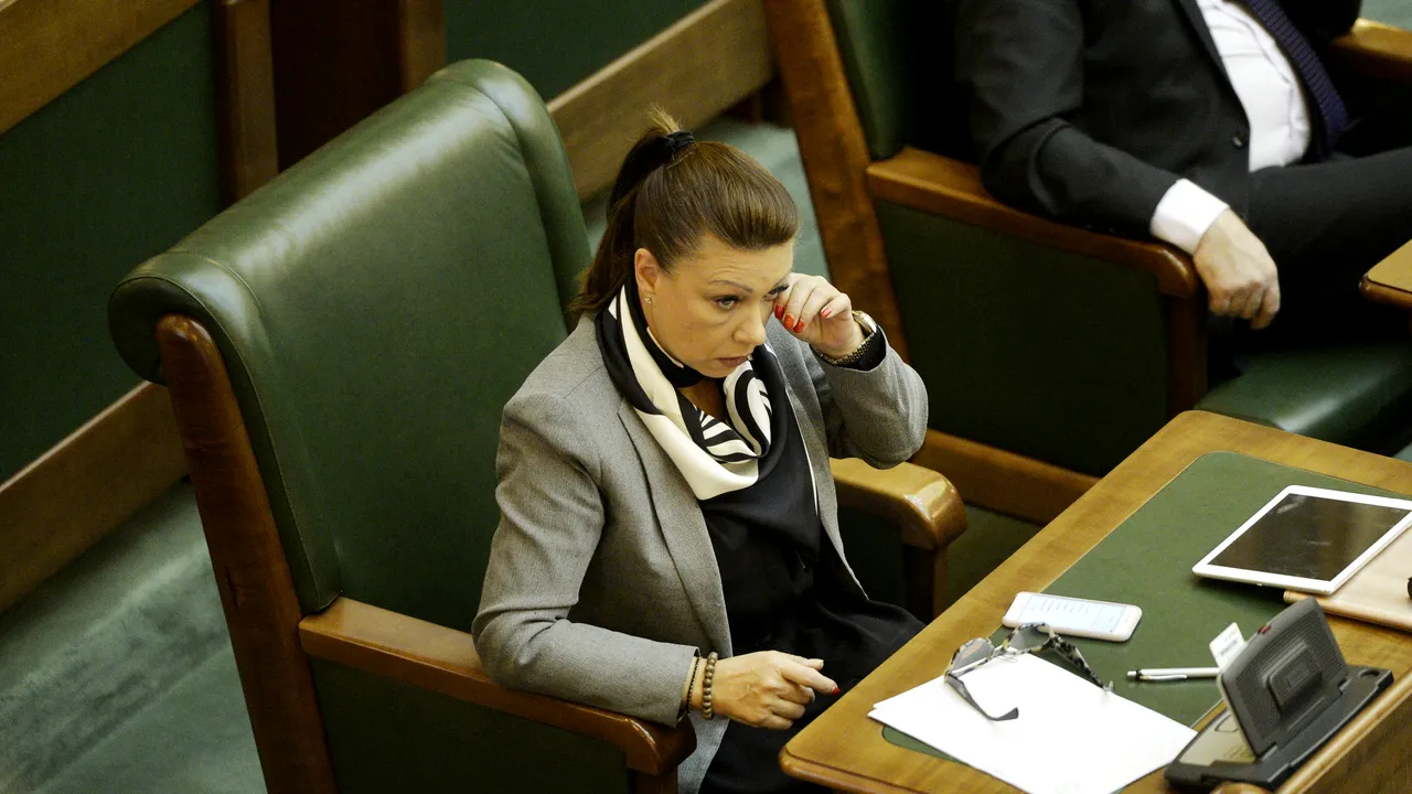 Senatoarea PNL Doina Tudor, reținută de DNA 