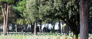 Țara europeană în care cimitirele vor fi transformate în FERME SOLARE urbane. „Oferă mult spațiu pentru generarea de energie curată”
