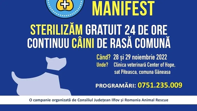 Consiliul Județean Ilfov desfășoară o campanie de sterilizare gratuită a animalelor de companie (P)