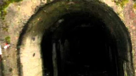 Câine căzut în puțul unei mine dezafectate din Deva, scos la suprafață de salvamontiști după 50 de ore