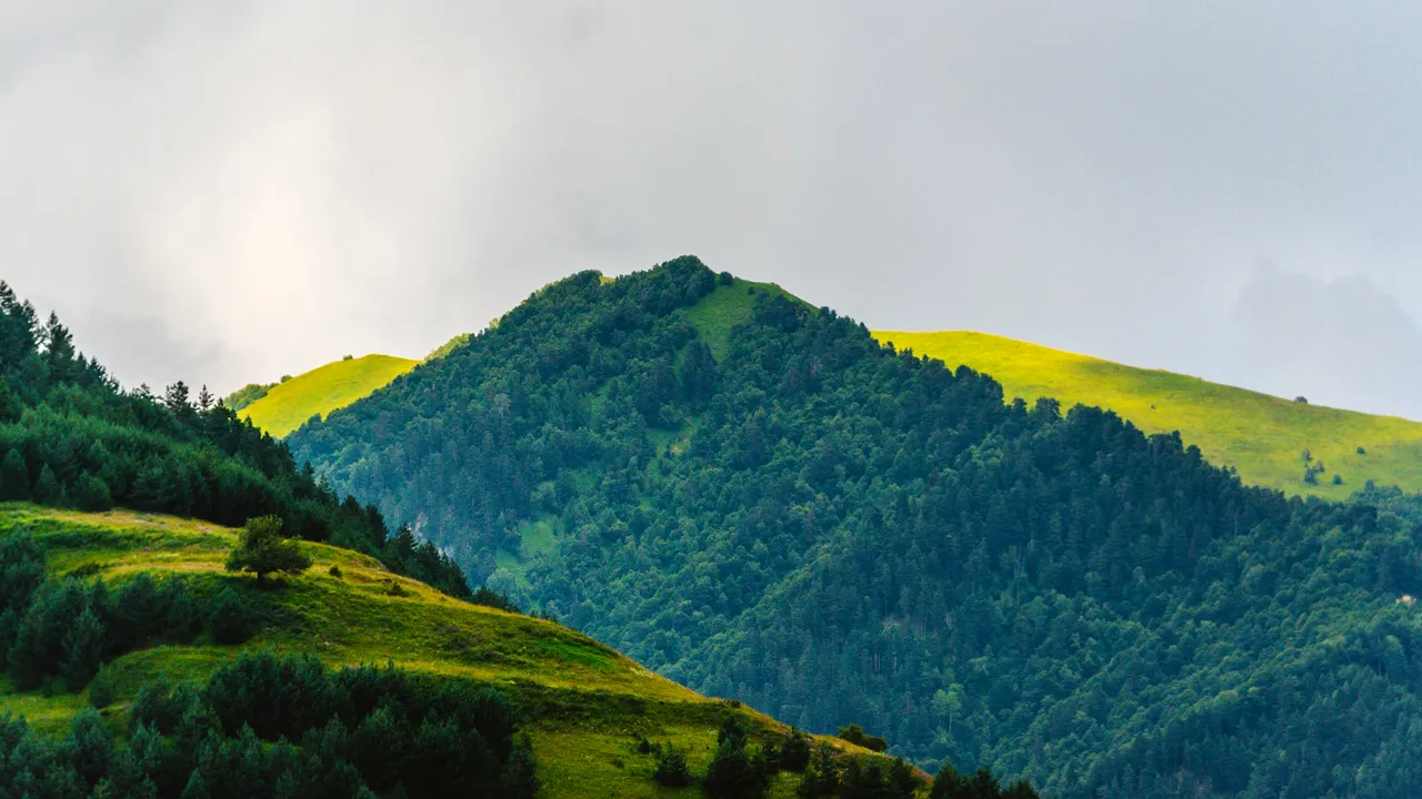 Un bătrân s-a pierdut de grup și a reușit să supraviețuiască o săptămână în pădure. Cum a rezistat bărbatul fără mâncare timp de cinci zile - VIDEO