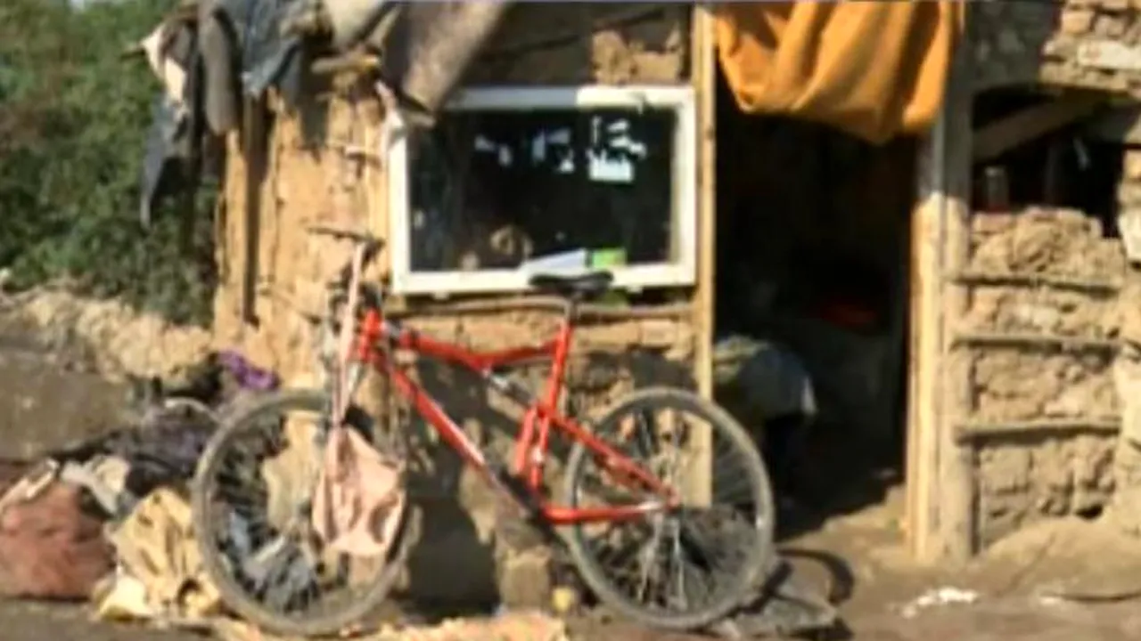 O găleată cu euro falși, descoperită la Oradea