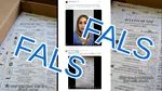 Imagini trucate cu BULETINE de vot în Republica Moldova / Comisia Electorală Centrală vorbește despre manipulare electorală