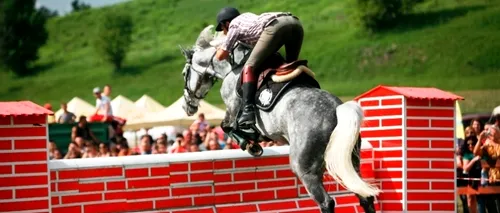 Experții concursurilor hipice internaționale vin în România la Transylvania Horse Show 2013 