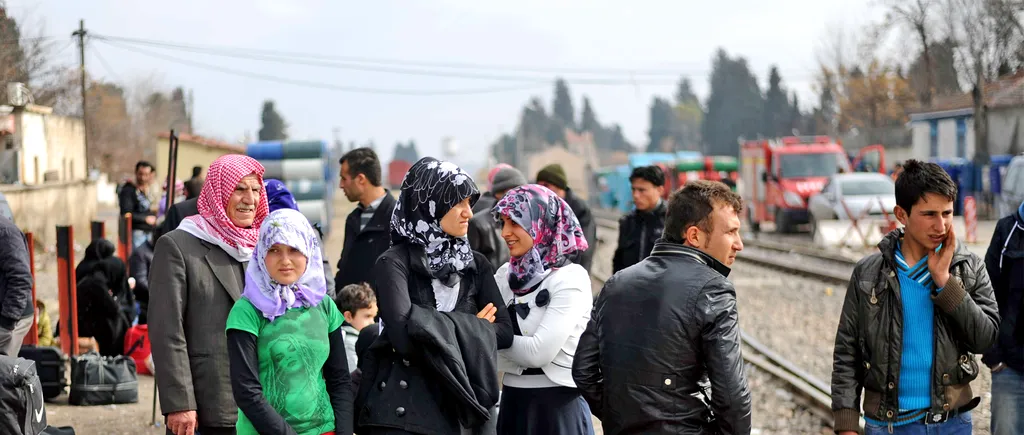 20 de imigranți, prinși pe un câmp din Arad încercând să intre ilegal în Ungaria