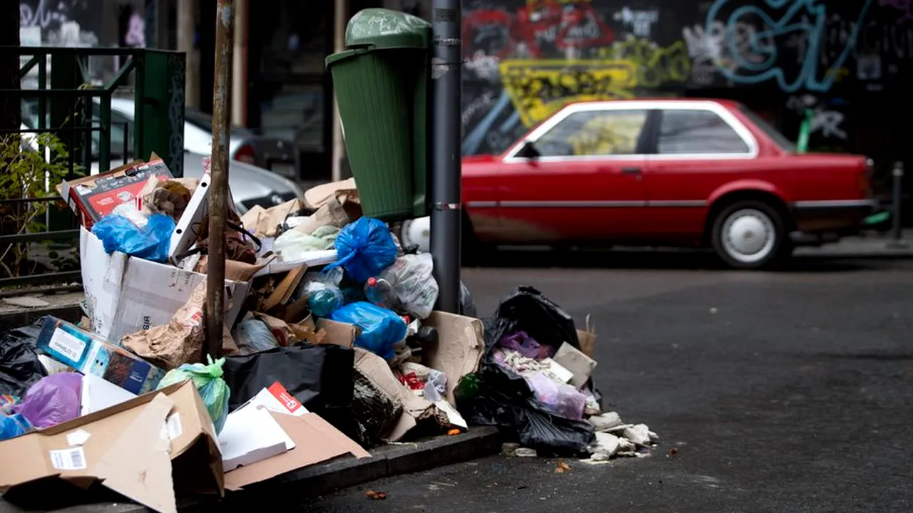 „Muștele aduc stafilococi pe mâncare de la gunoaie și produc infecții grave”. Străzile din sectorul 1 se pot transforma în bombe ecologice, avertizează medicii