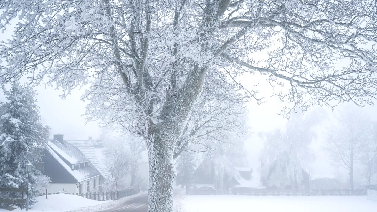 Ce s-a întâmplat cu iernile bunicilor noștri?