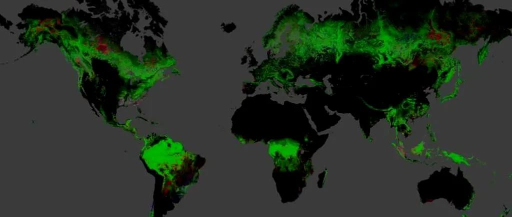 Cum arată România pe harta Google a despăduririlor