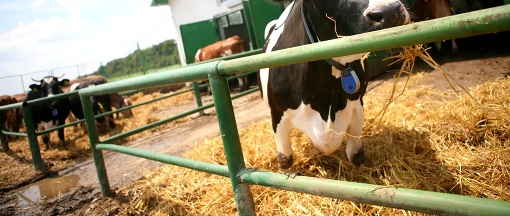 Agricultura pregătește o listă neagră cu fermieri și instituții care nu vor mai primi subvenții