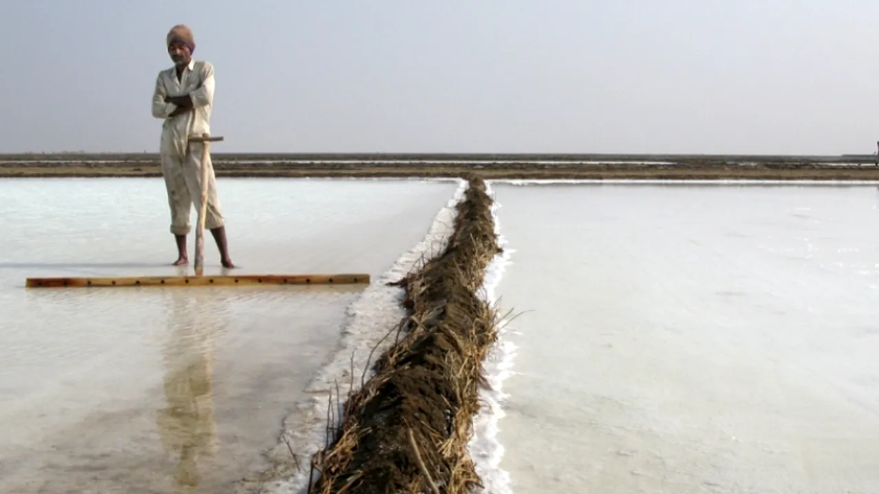 Cele mai bune documentare de la Festivalul de Film PELICAM, proiectate la București. Programul evenimentului