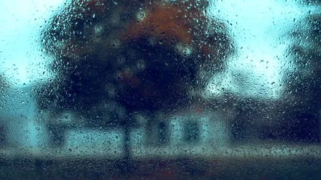 AVERTISMENT ANM. Vijelii în București, de joi. Primăria Capitalei a activat procedurile de urgență