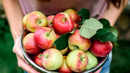 Merele românești tot mai SCUMPE