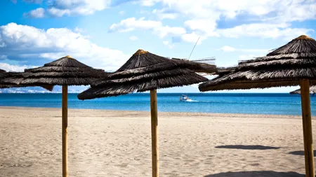 Motivul pentru care două CREATURI de 3 centimetri lungime au închis toate plajele dintr-un oraș spaniol