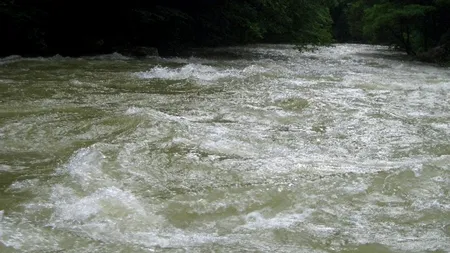 O fată de 17 ani, dintr-un centru de plasament, s-a aruncat în pârâul Trebeș